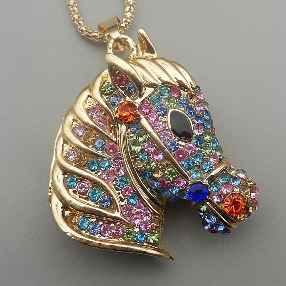 NEW•Multi color Pony Head long necklace